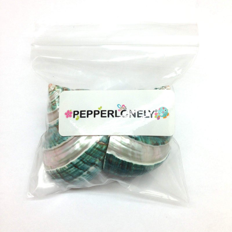 PEPPERLONELY 2 PC Natural Large Hermit Crab Shells, Banded Green Blue Gade Turbo, 2-1/2 Inch ~ 3 Inch - Image 5